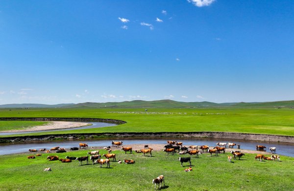 按天配资平台 内蒙古呼伦贝尔：莫尔格勒河进入最美观赏季
